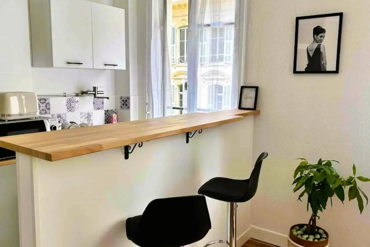 Studio Calme Nice Hyper Centre Apartment